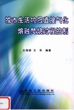 城市生活垃圾直接气化熔融焚烧过程控制