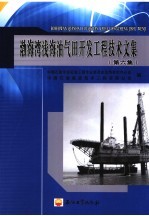 渤海湾浅海油气田开发工程技术文集  第6集