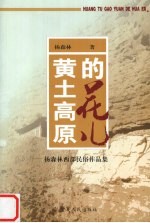 黄土高原的花儿 杨森林西部民俗作品集