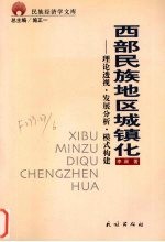 西部民族地区城镇化 理论透视·发展分析·模式构建