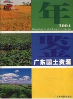 广东国土资源年鉴  2004