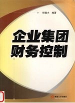 企业集团财务控制