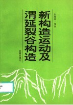 新构造运动及渭延裂谷构造