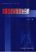 中国少数民族政治分析