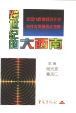 跨世纪的大西南 近现代西南经济开发与社会发展历史考察