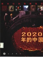 2020年的中国  新世纪的发展挑战