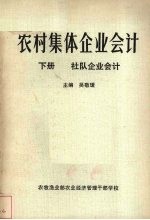 农村集体企业会计 下 社队企业会计