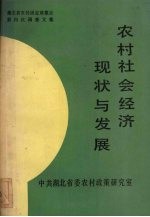 农村社会经济现状与发展