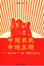 中国农民命运主题 大王镇“三农”破壁之启示