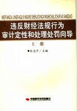 违反财经法规行为审计定性和处理处罚向导  上