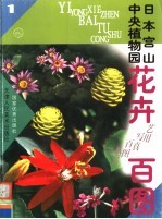 日本宫山中央植物园花卉百图 1