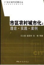 市区农村城市化 理论·实践·案例