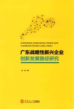 广东战略性新兴企业创新发展路径研究