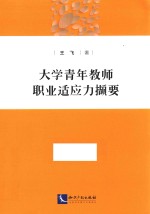 大学青年教师职业适应力撷要