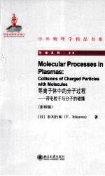 等离子体中的分子过程  带电粒子与分子的碰撞=MOLECULAR PROCESSSES IN PLASMAS:COLLIISIONS OF CHARGED PARTICLES WITH MOLECUL