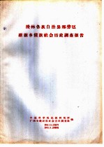 隆林各族自治县那劳区维新乡僮族社会历史调查报告