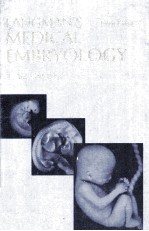 LANGMAN'S MEDICAL EMBRYOLOGY FIFTH EDITION