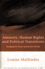 AMNESTY，HUMAN RIGHTS AND POLITICAL TRANSITIONS BRIDGING THE PEACE AND JUSTICE DIVIDE