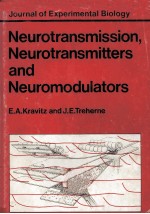 NEUROTRANSMISSON