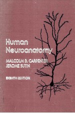 HUMAN NEUROANATOMY