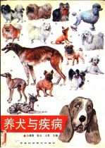 养犬与疾病