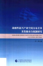 战略性新兴产业空间分布差异及集聚动力机制研究