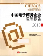 中国电子商务企业发展报告2013