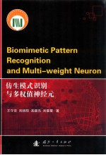仿生模式识别与多权值神经元