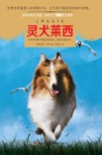 意林动物小说馆系列 灵犬莱西