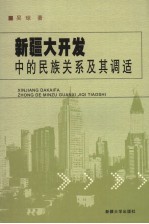 新疆大开发中的民族关系及其调适