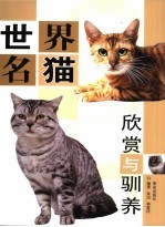 世界名猫欣赏与驯养