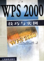 WPS2000技巧与实例