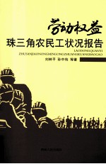 劳动权益 珠三角农民工状况报告