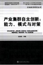 产业集群自主创新 能力、模式与对策