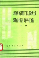 河南省职工队伍状况调查报告资料汇编 下