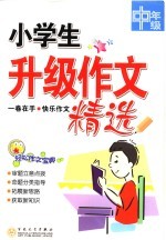 小学生升级作文精选