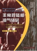 非常规陆相油气储层：以湖相低渗透砂砾岩和裂缝性白云岩储层为例