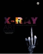 X-ray art : see through the world around you