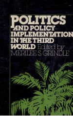 Politics and policy implementation in the Third World