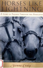 Horses like lightning : a story of passage through the Himalayas