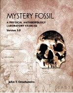 Mystery fossil a physical anthropology laboratory exercise