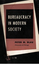 Bureaucracy in modern society