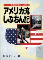 アメリカ流しぶちん記