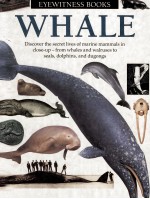 Whale