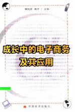 成长中的电子商务及其应用