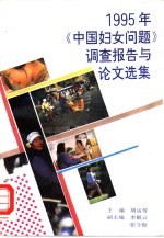 1995年《中国妇女问题》调查报告与论文选集