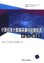 计算机审计数据采集与处理技术研究报告