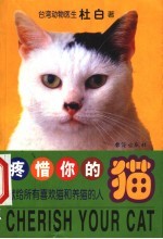 痛惜你的猫 献给所有喜欢猫和想养猫的人