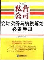 新编私营公司会计实务与纳税筹划必备手册