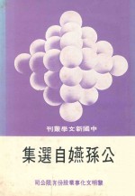 中国新文学丛刊 公孙嬿自选集